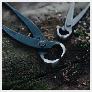 Novice 2.0: April 27 - Afternoon 2025