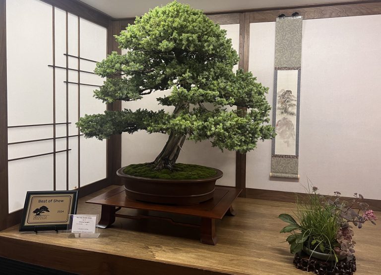 2024 State Fair Awards