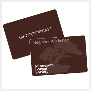 Workshop: $95 Gift card