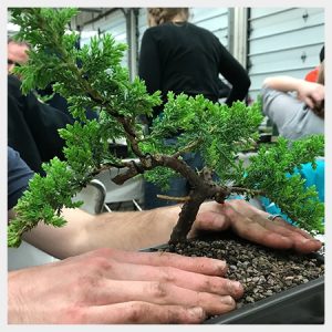 Juniper Beginner Workshop: April 25 Afternoon